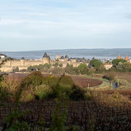 Villa Des Cathares Carcassonne Exteriör bild