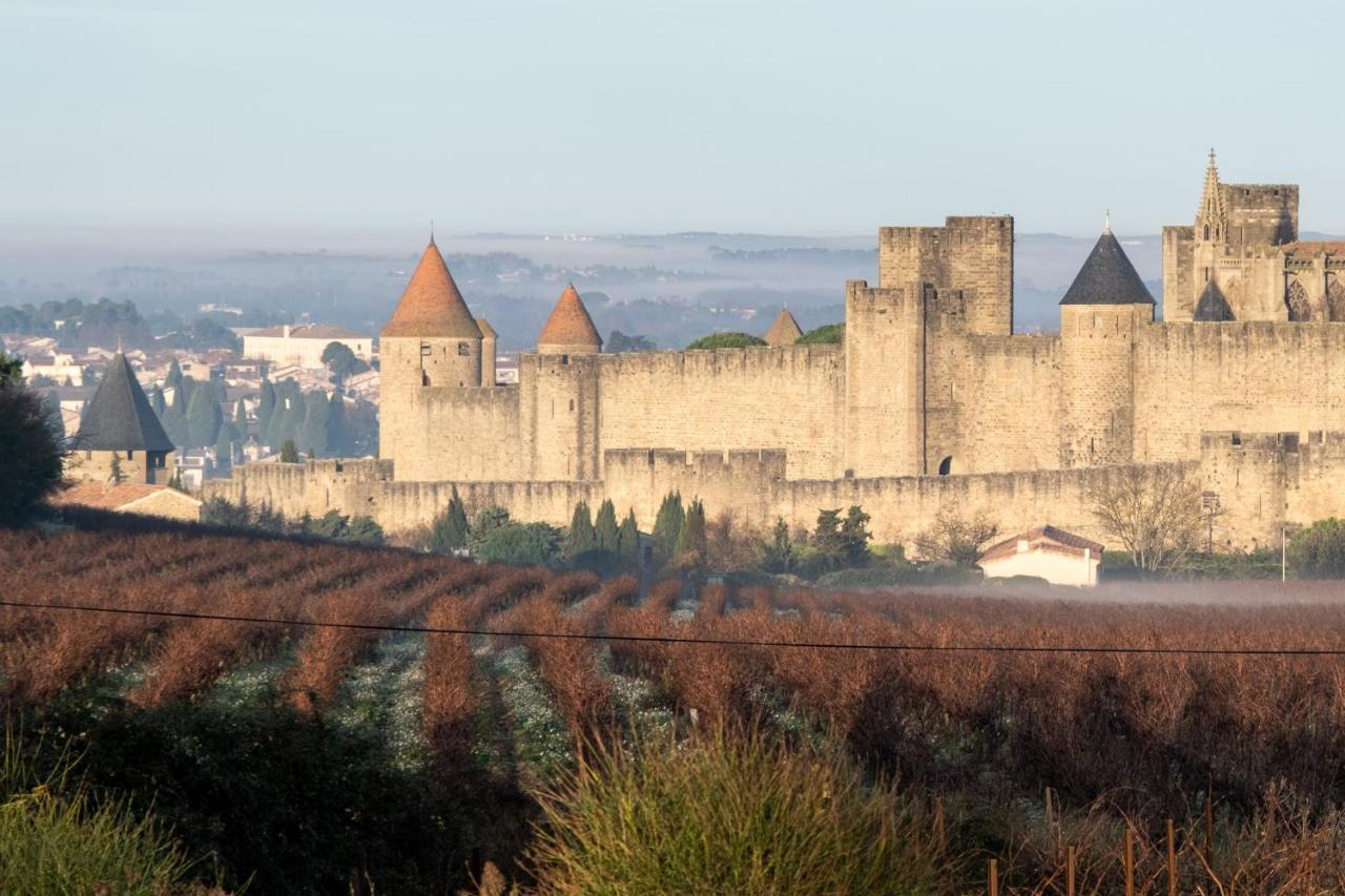 Villa Des Cathares Carcassonne Exteriör bild